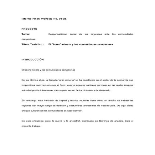 20090519112857 informe final ciup mineria 2006