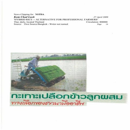 Hybrid Rice -- Alternative for Professional Farmers