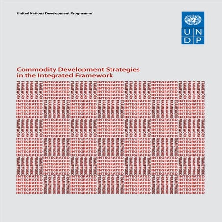 20090712 commodities in the if study undp exeuctive summarywith covers