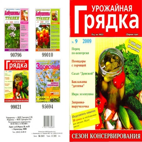 урожайная грядка 2009 №09