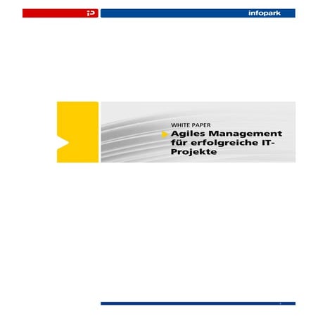 Agiles Management für erfolgreiche IT-Projekte