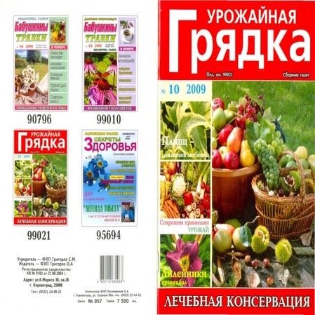 урожайная грядка 2009 №10