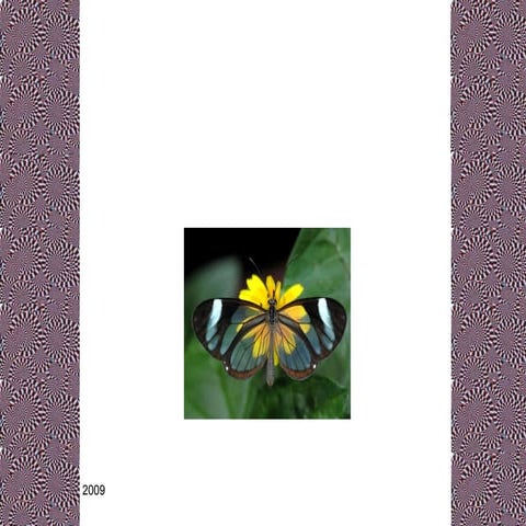 20091007   [Ab]   Interpersonal Relations