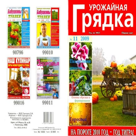 урожайная грядка 2009 №11