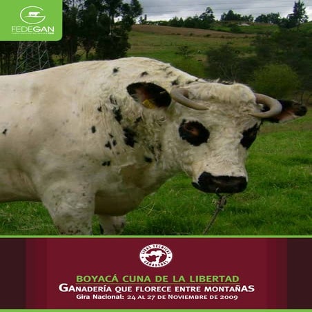 Cartilla gira boyacá