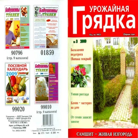 урожайная грядка 2009 №3