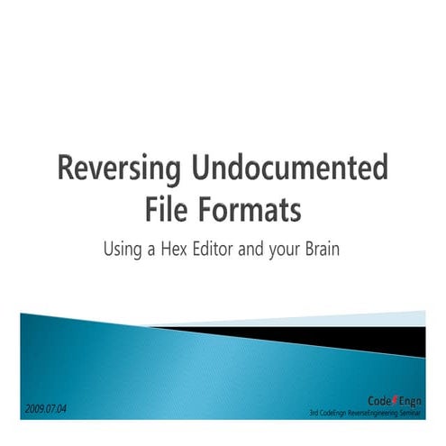 Reverse_Engineering_of_binary_File_Formats.pdf