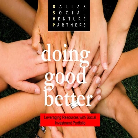 2009 Dsvp   Pop   Investee Portfolio Chapter