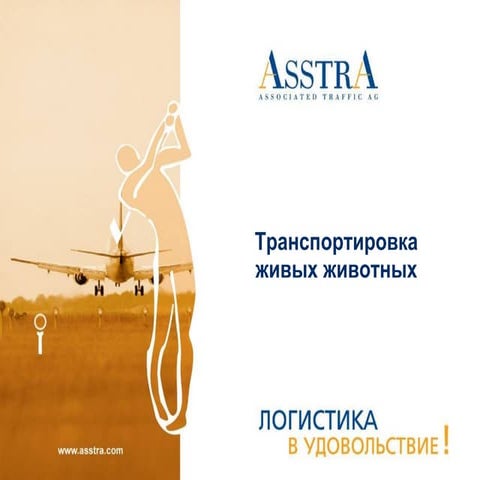 2009 Asstr A Presentation Russian Animals