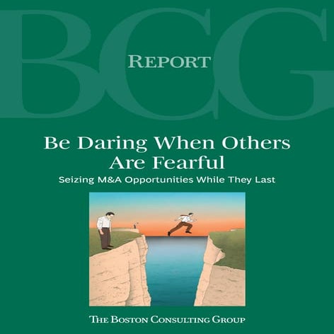 2009 BCG Report (M&amp;A)