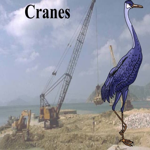 2009 Face Conference Orosha Cranes Wooley