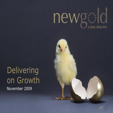New Gold Inc - A Clear Direction - November 2009