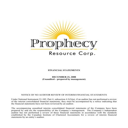 2009 Q1 interim financial statements