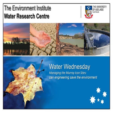 Potential benefits and impacts of the proposed Chowilla Regulator