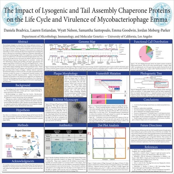 The Impact of Lysogenic and Tail Assembly Chaperone Proteins on the Life Cycl...
