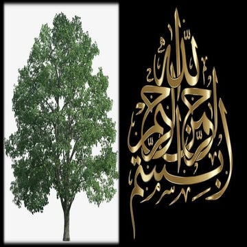 201 تنمية المهارات الاشرافية.pdf