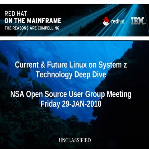 2010-01-28 NSA Open Source User Group Meeting, Current & Future Linux on Syst...