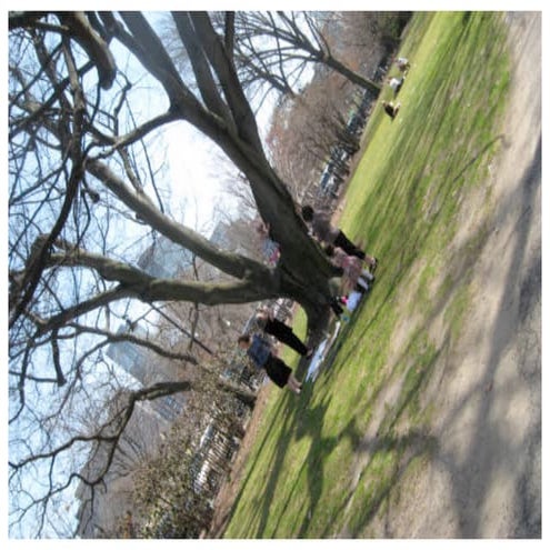 Spring Equinox 2010: A Walk In The Park (Boston Common)