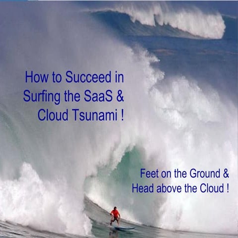 2010.06.23  - How to succeed in surfing the Saas and Cloud Tsunami