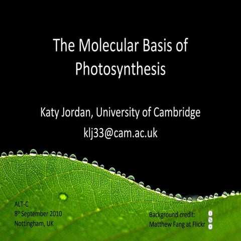 The Molecular Basis of Photosynthesis