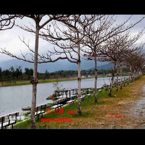 秋 ‧ 台灣 ‧Autumn in Taiwan 2010 