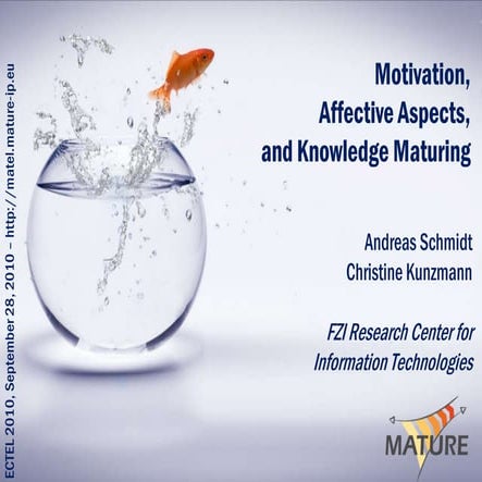 Motivation, affective aspects, and knowledge maturing