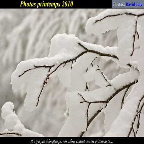 Flore et faune - Printemps 2010