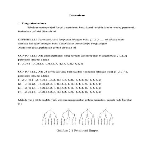 20100104 fungsi determinan