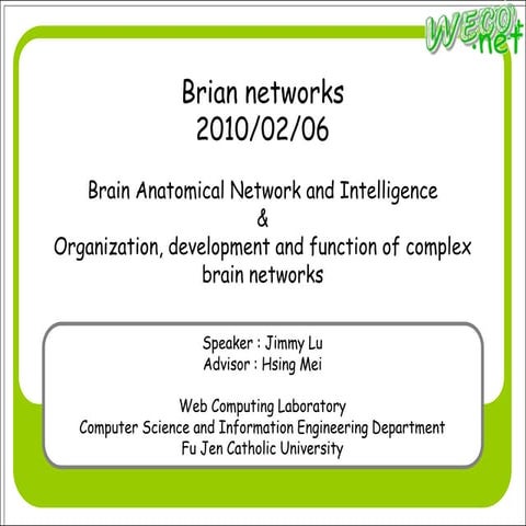 Brain Networks