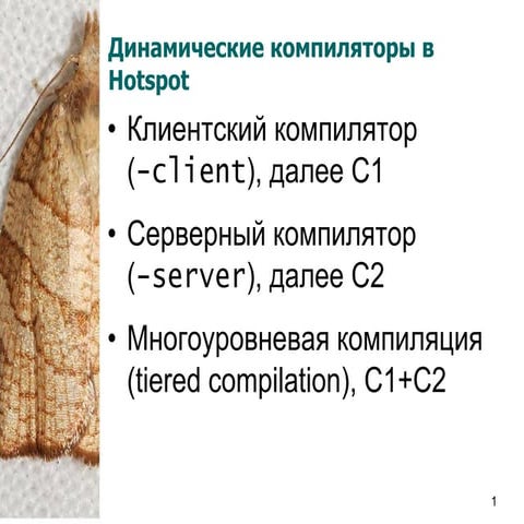 20100314 virtualization igotti_lecture06