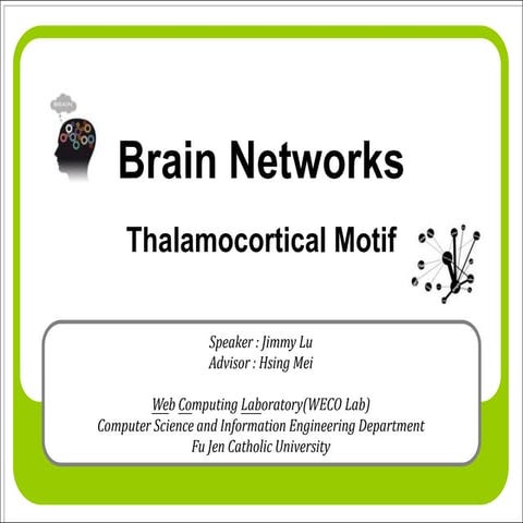 Brain Network - Thalamocortical Motif