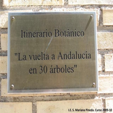 2010 05 06 itinerario_botanico