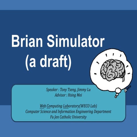 Brian Simulator (a draft)