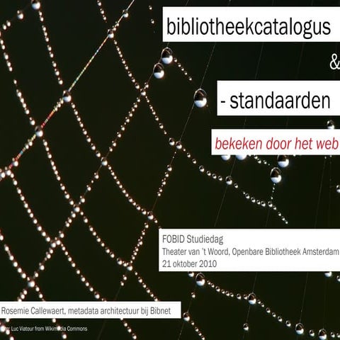 Bibliotheekstandaarden bekeken door het web