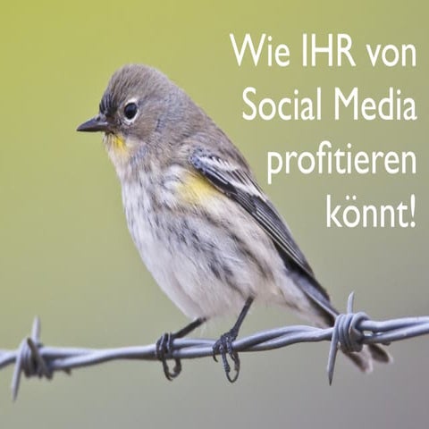 WIE SIFE von Social Media profitieren kann, 2010 11 20_sife_schleiden
