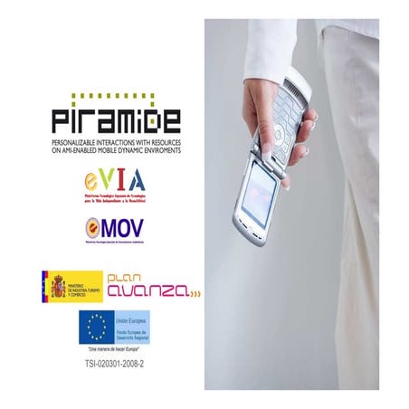 20101125 piramide v_asamblea