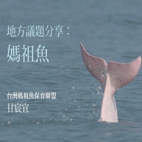 20101128 媽祖魚的急迫 阿甘(台灣媽祖魚保育聯盟)