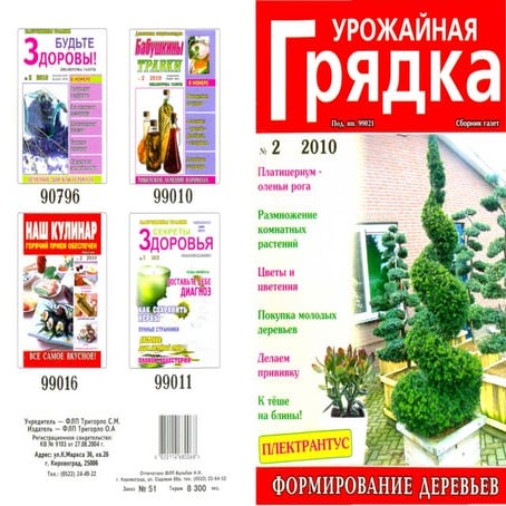 урожайная грядка 2010 №2