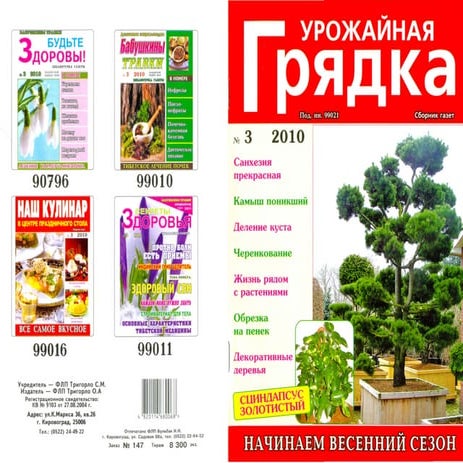 урожайная грядка 2010 №3