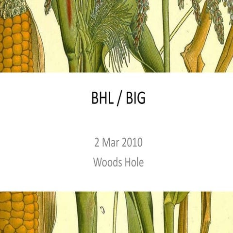 BHL / EOL technology sit down