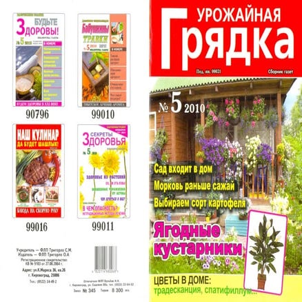 урожайная грядка 2010 №5