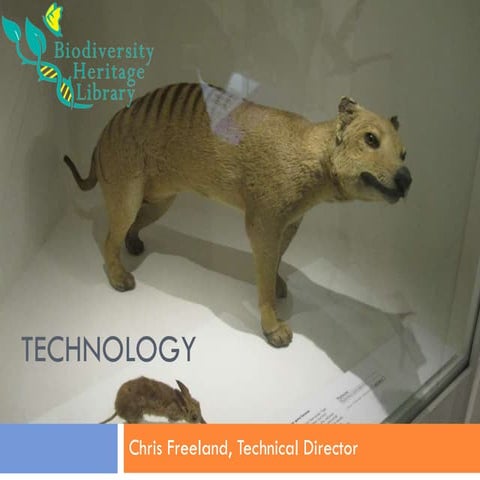 BHL Technologies: Review for BHL-Australia