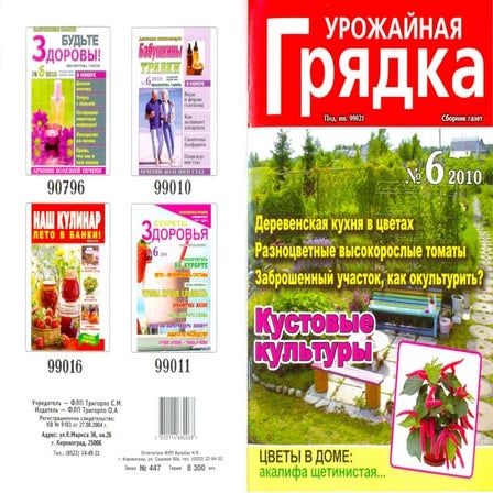 урожайная грядка 2010 №6