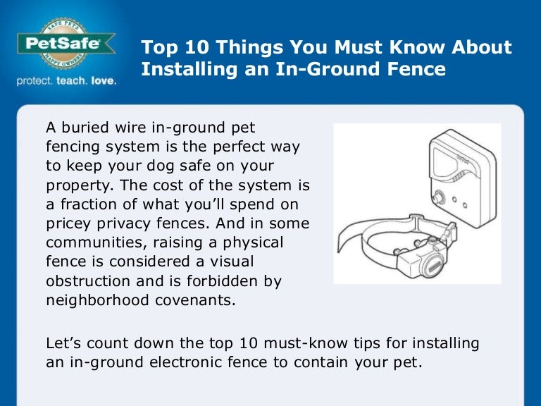 petsafe in ground fence