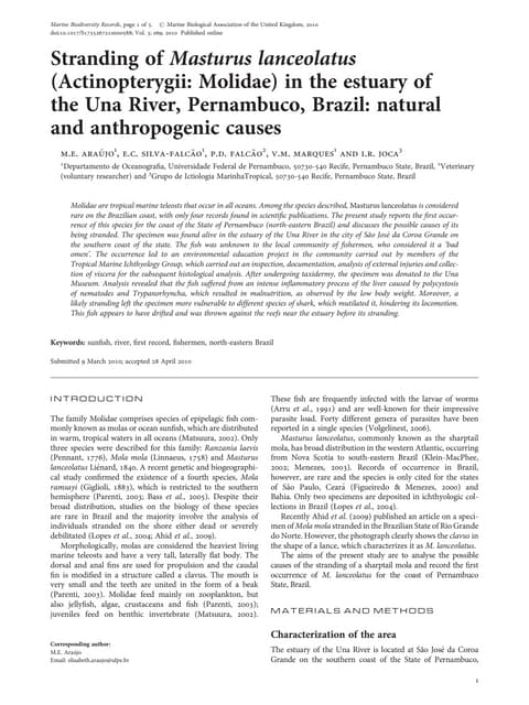 2010 araujo et al   stranding of masturus lanceolatus