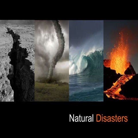 Amazon deforestation presentation | PPT