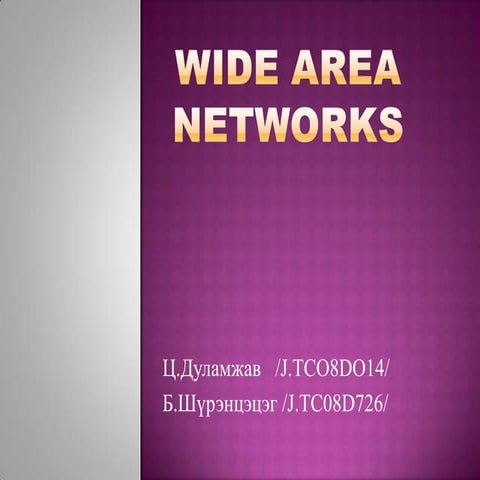 2010fall ch33 shurentsetseg