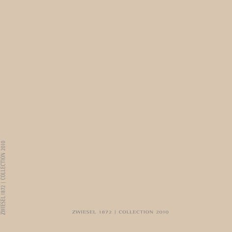 2010 katalog zw1872