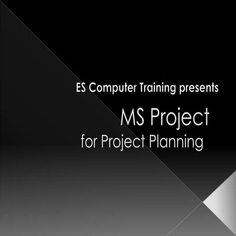 2010 ms project 2010 (2)