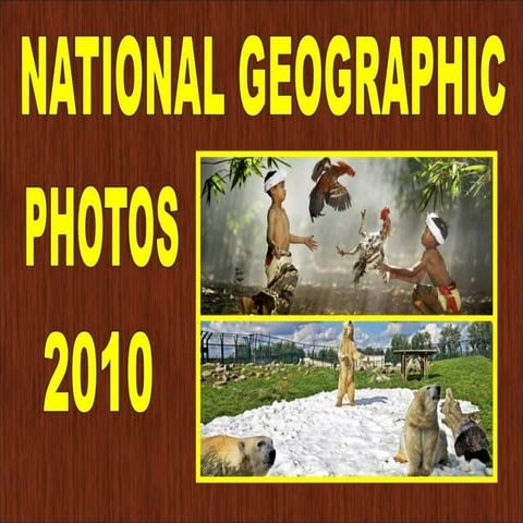 2010-National Geographic Photos
